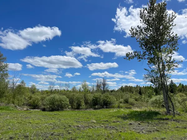 26596 Fawn LN NE, Kelliher, MN 56650