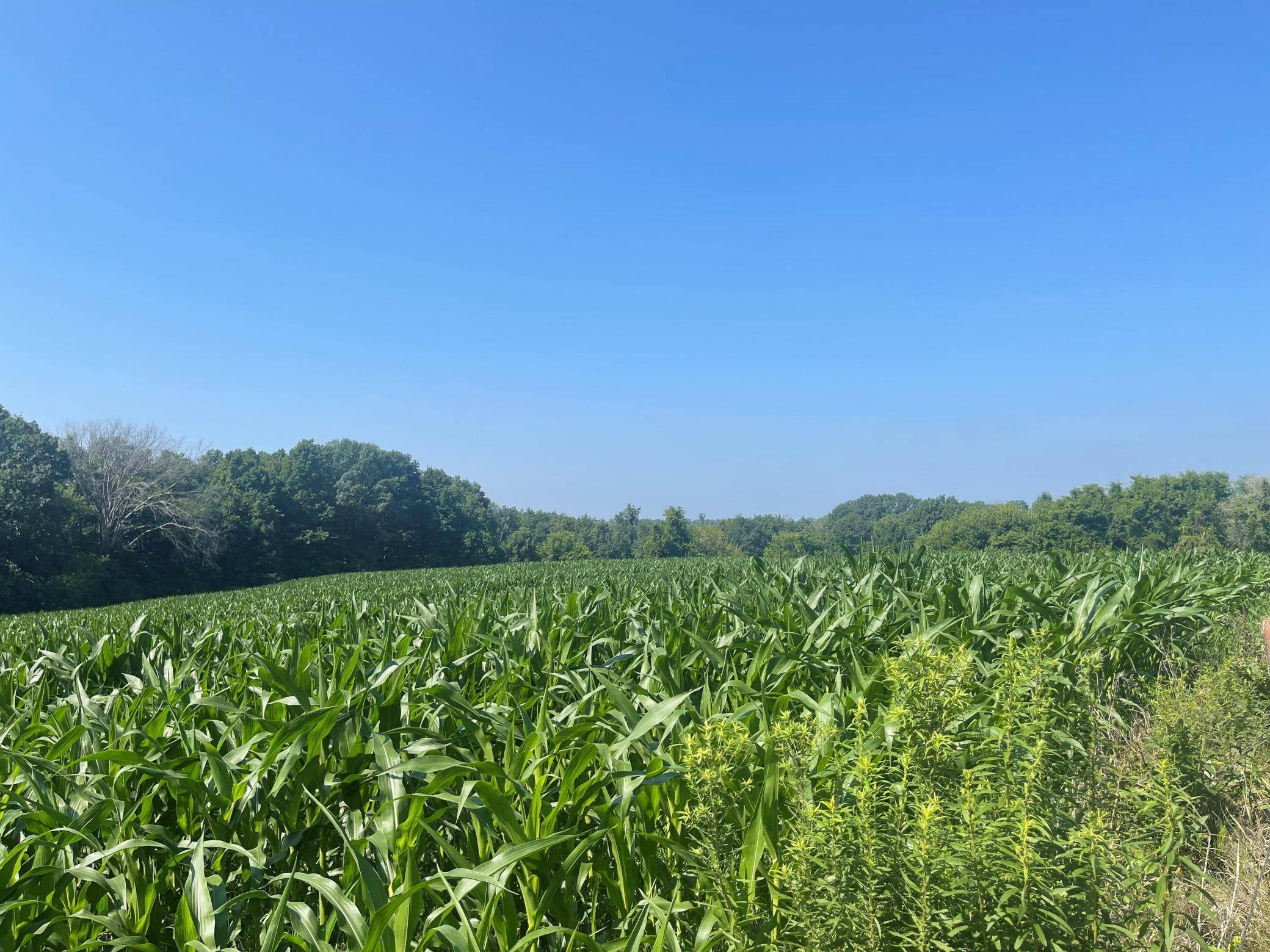 Hartland Twp, WI 54723,XXX 590th