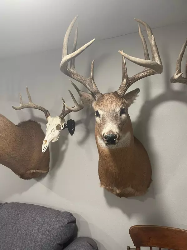 Hartland Twp, WI 54723,XXX 590th