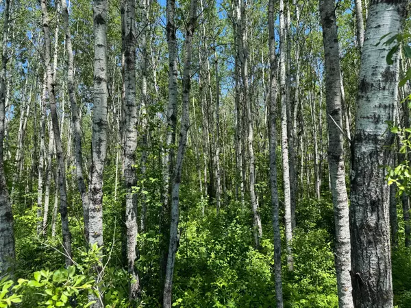Superior, WI 54880,TBD Irondale RD