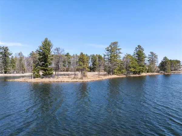 Deerwood Twp, MN 56444,19253 N Shirt Lake RD