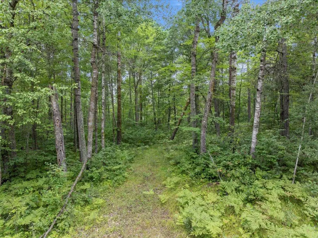 Breezy Point, MN 56472,Lot 7-8-9-10 Shasta DR