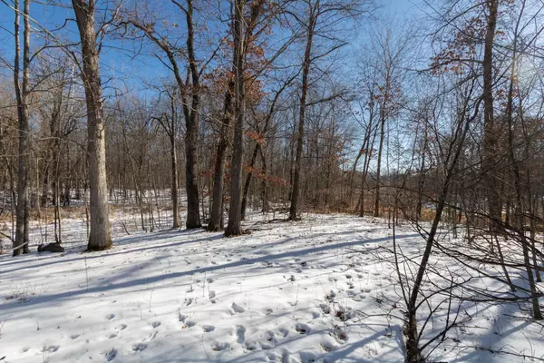 Amery, WI 54001,Lot 12 133rd ST