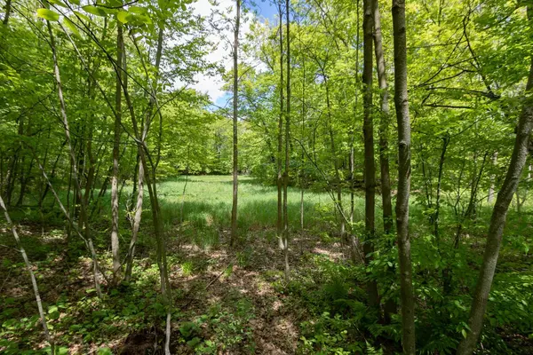 Amery, WI 54001,Lot 15 133rd ST