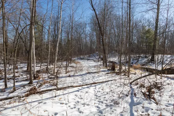 Lot 15 133rd ST, Amery, WI 54001