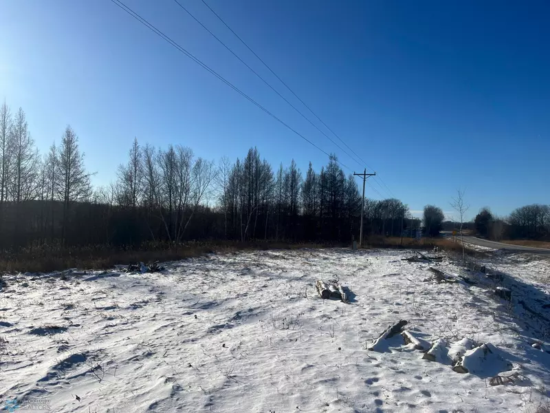 TBD Highway 210, Staples Twp, MN 56479