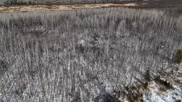 TBD County Road 61 Carlton, MN 55718