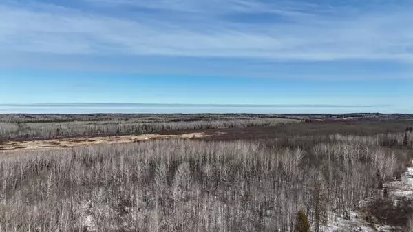 TBD County Road 61, Carlton, MN 55718
