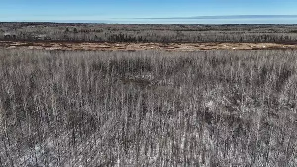 TBD County Road 61 Carlton, MN 55718