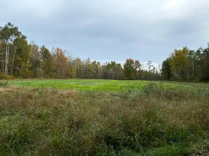 0 W Jones RD, Stubbs Twp, WI 54526