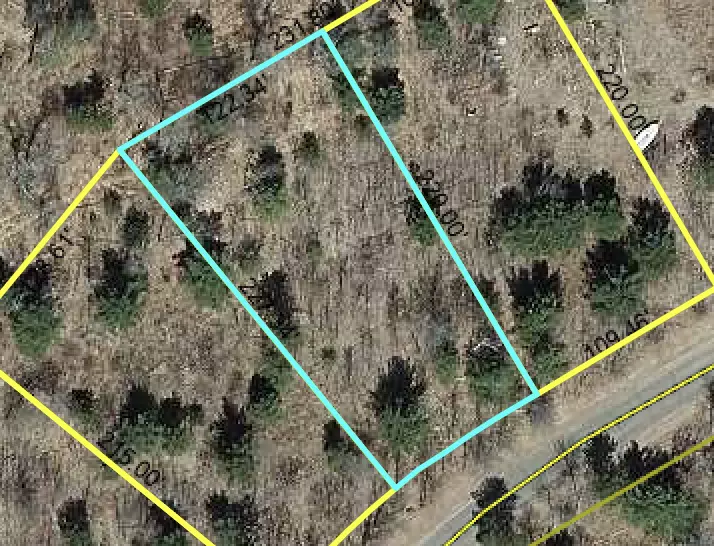 Danbury, WI 54830,Lot 19 Loon Lake RD