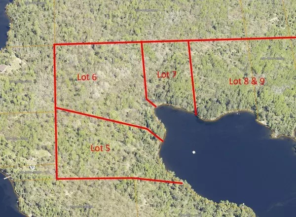 Beatty Twp, MN 55771,Lot 8 & 9 Wakemup Narrows N