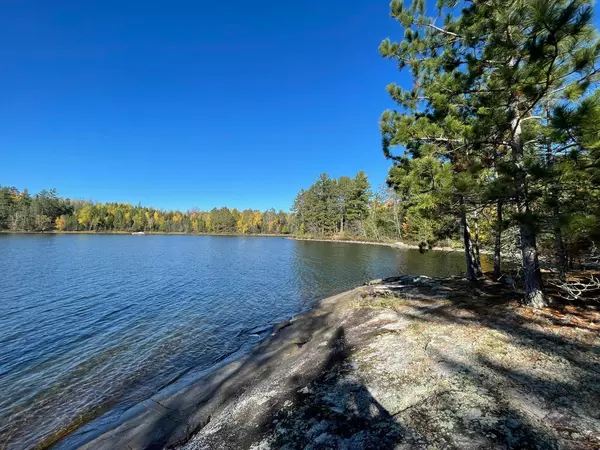 Beatty Twp, MN 55771,Lot 8 & 9 Wakemup Narrows N