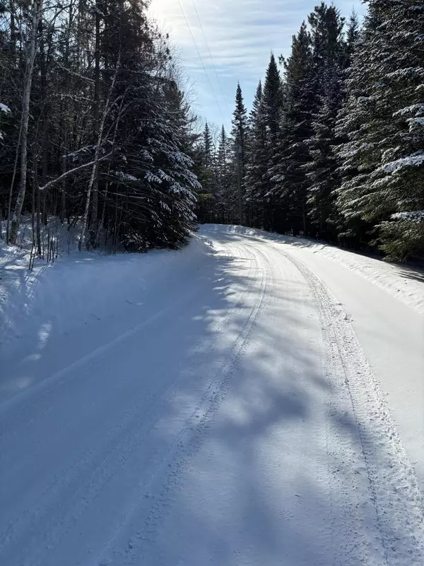 Bagley, MN 56621,13102 Seaberg LN