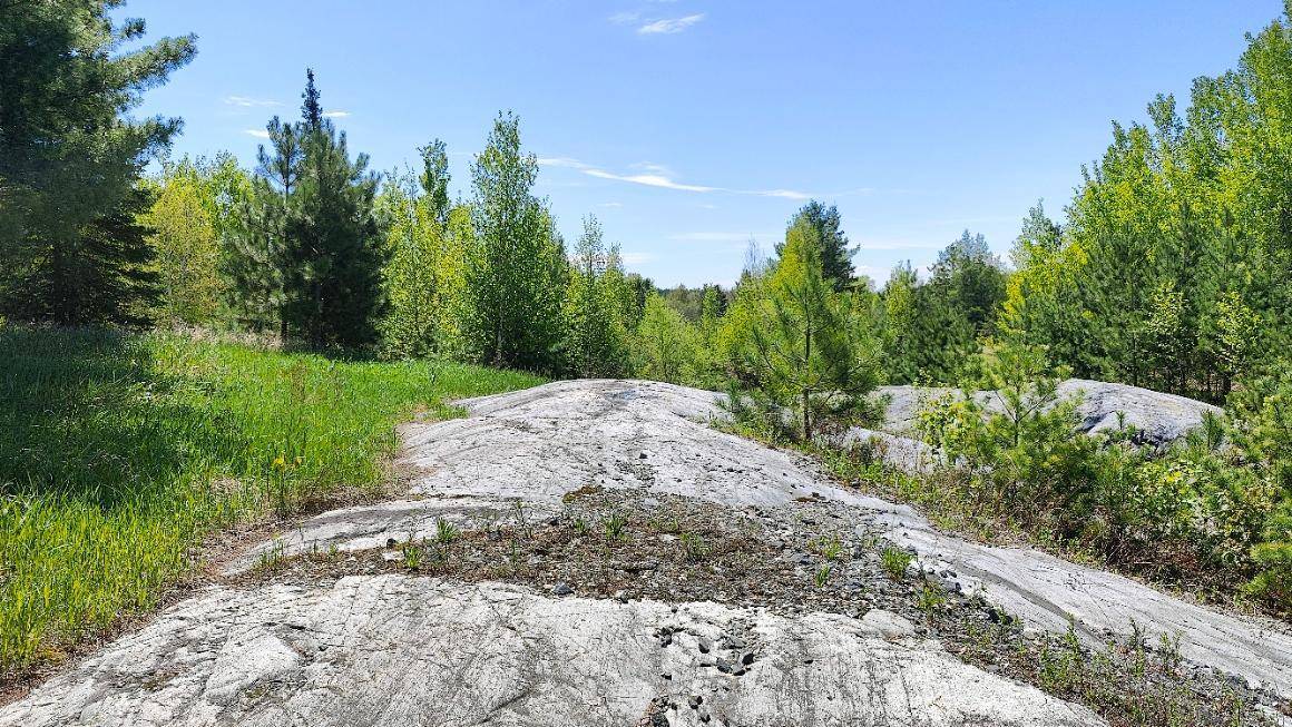 Greenwood Twp, MN 55790,80036 Sweet Fern Loop
