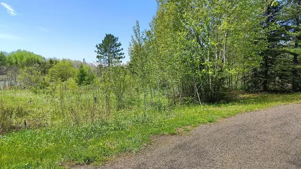 Greenwood Twp, MN 55790,80046 Alder Lane