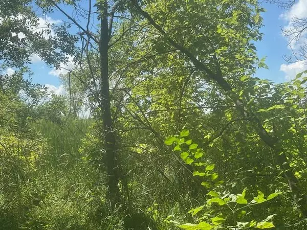 Elko New Market, MN 55020,26596 Drew AVE