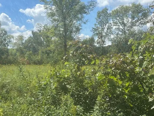 Elko New Market, MN 55020,26596 Drew AVE