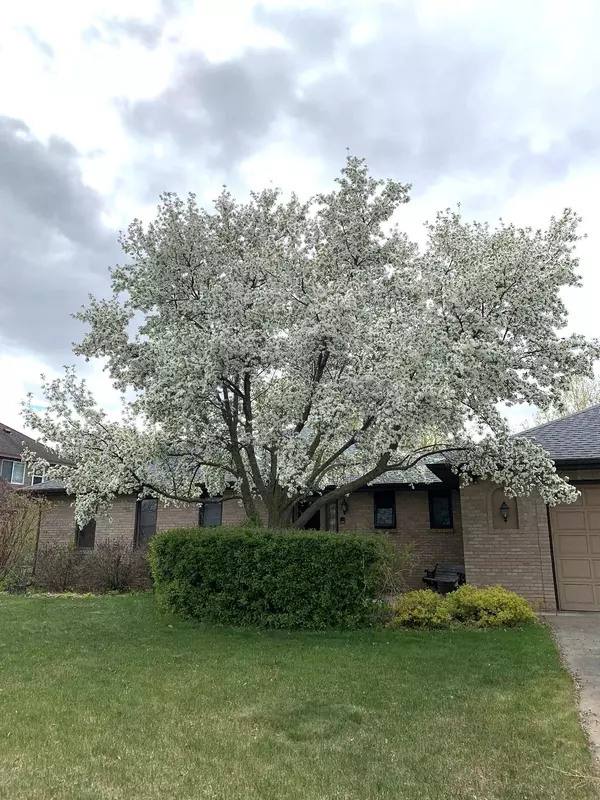Ramsey, MN 55303,14818 Waco ST NW