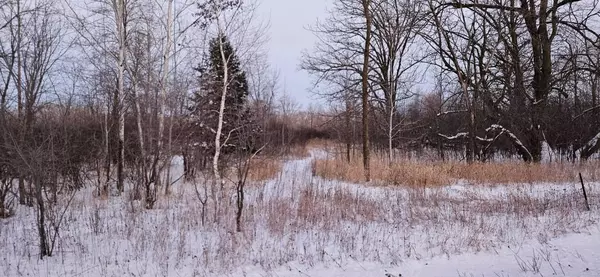 Parcel 4 CR-68 NE, Carlos, MN 56319