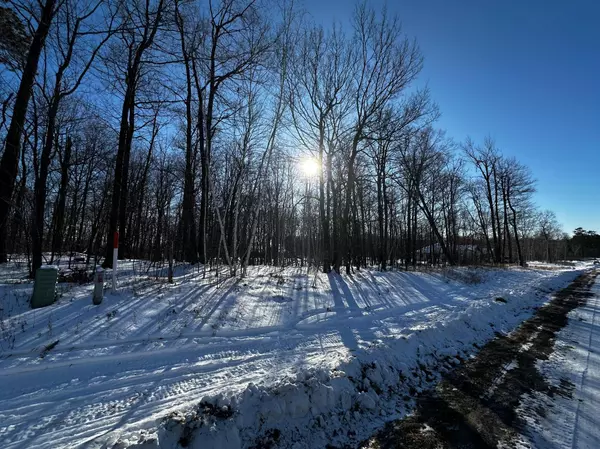 TBD Fox Run Lane, Cuyuna, MN 56444