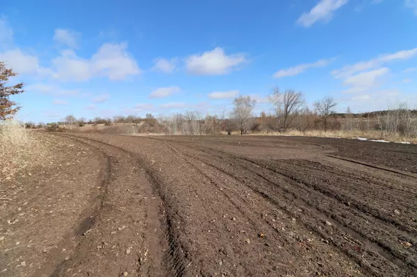 Birchdale Twp, MN 56378,24993 Cedar Lake RD