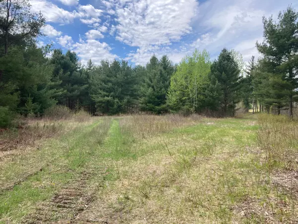 Siren Twp, WI 54872,Lot 5 Surely Drive