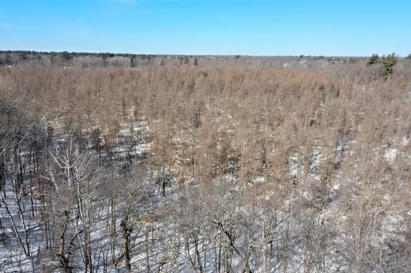 Stacy, MN 55079,XXX Pigeon Loft RD NE