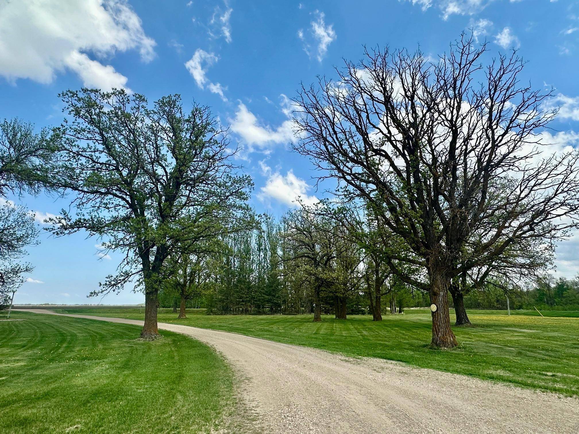 Dieter Twp, MN 56751,28714 County Road 112