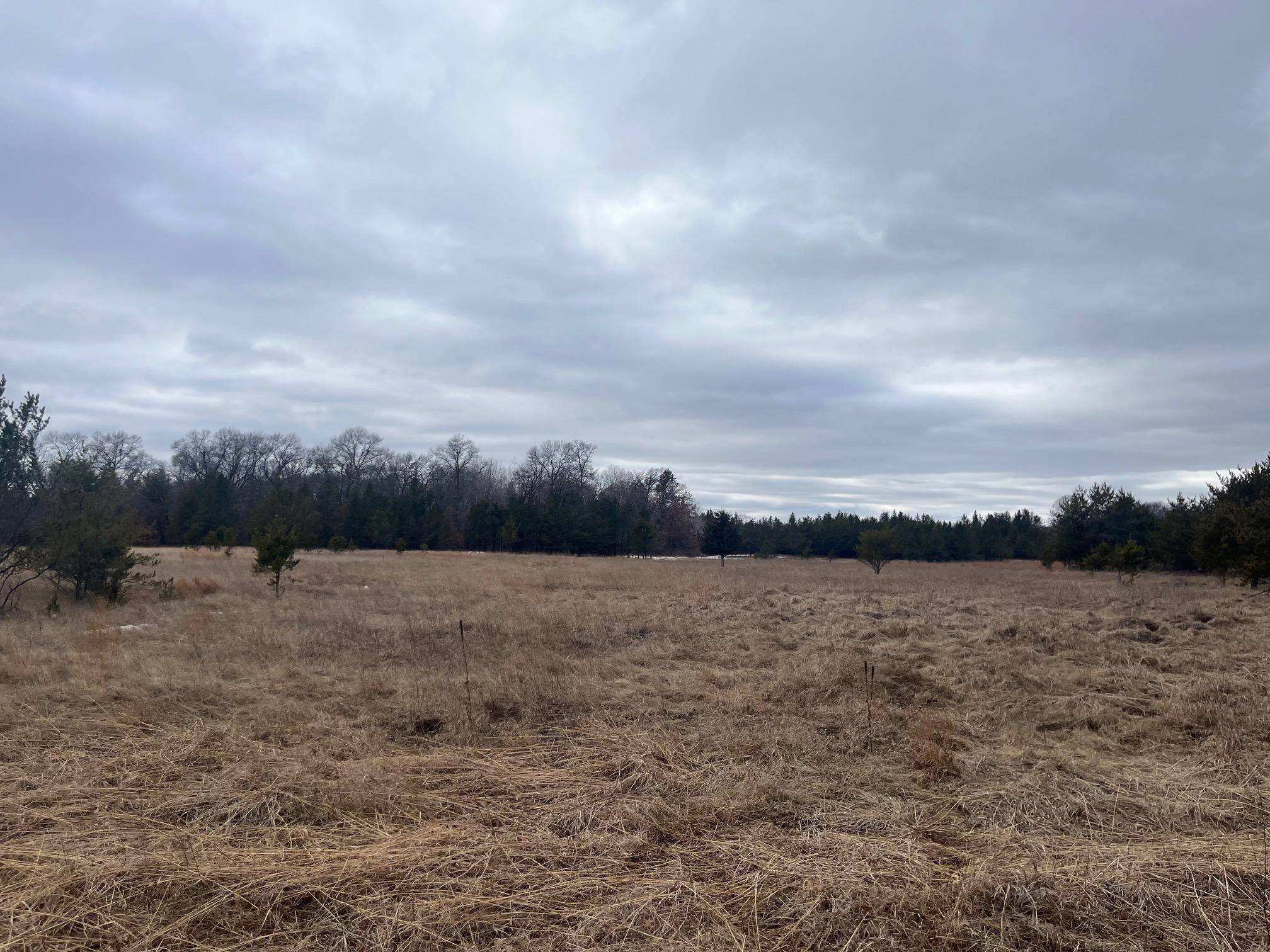 Anderson Twp, WI 54840,XXX East River RD