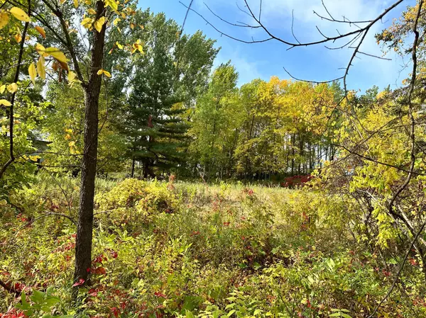 TBD Wild Rose Trail, Frazee, MN 56544