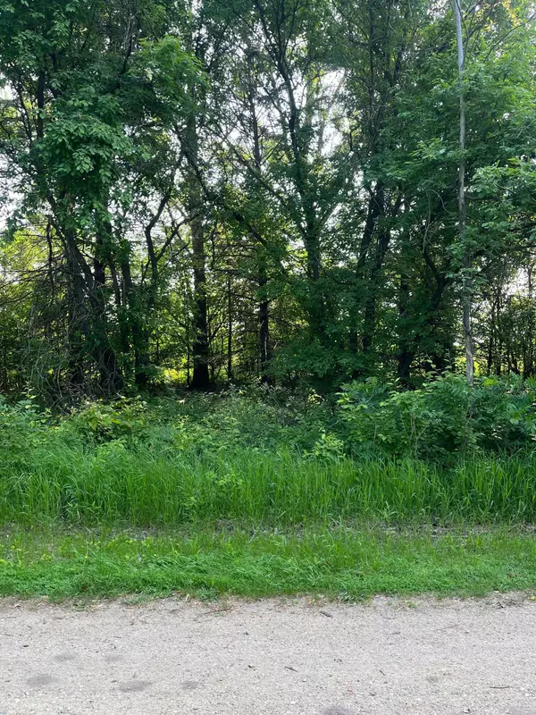 Frazee, MN 56544,TBD Wild Rose Trail
