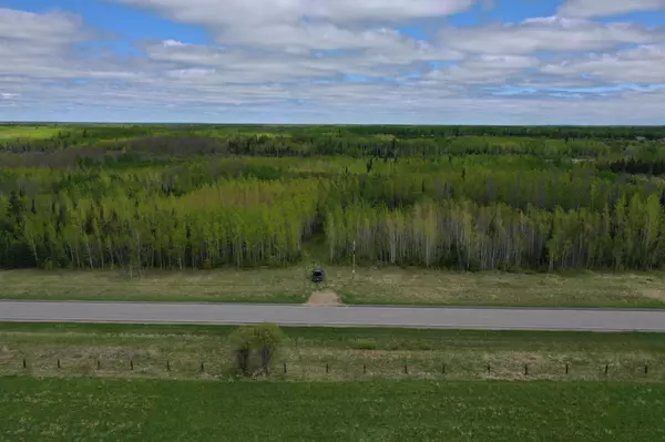 2425 HWY 217, Ray, MN 56669