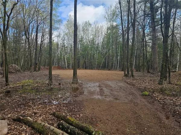 Cuyuna, MN 56444,23092 Iron Hub RD