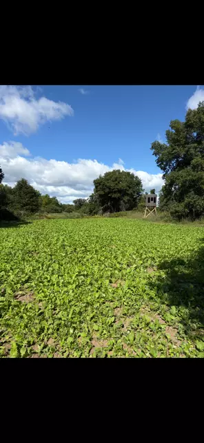 Cambridge, MN 55008,31440 Heather ST NW