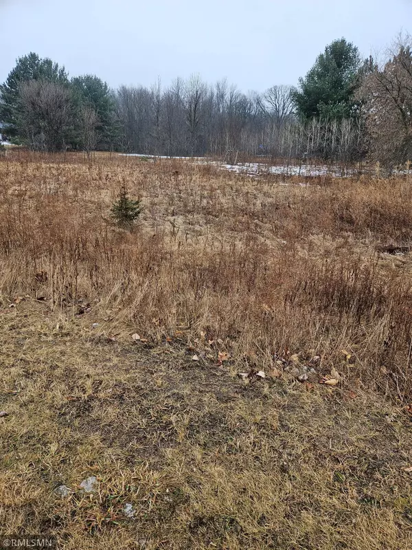 Black Brook Twp, WI 54001,xxx Little Falls Circle