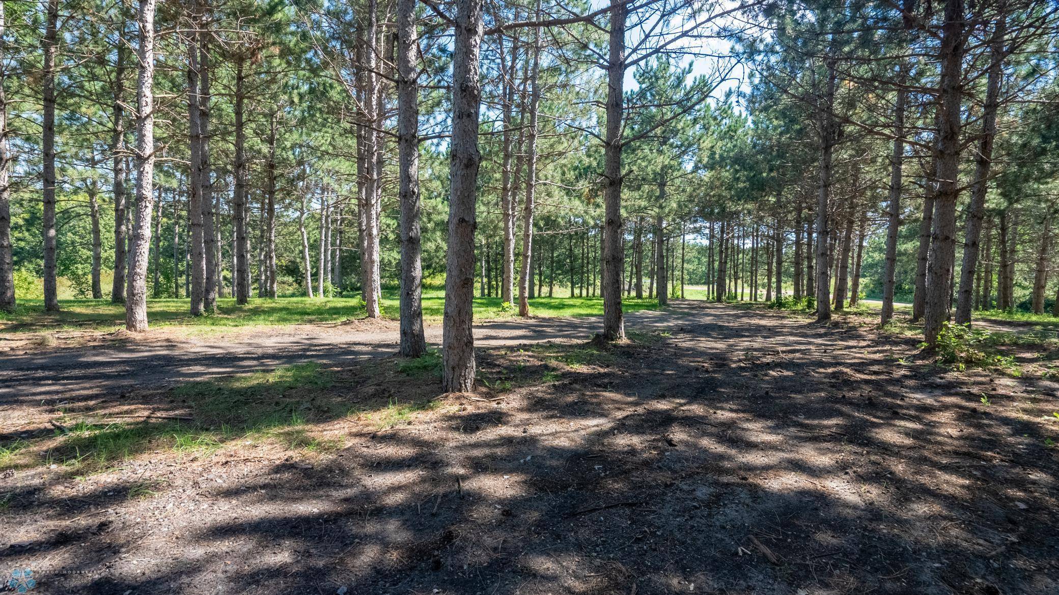 Nidaros Twp, MN 56524,20291 Swenson DR