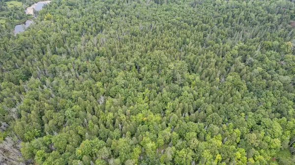 Lakewood Twp, MN 55804,30xx Lavis RD