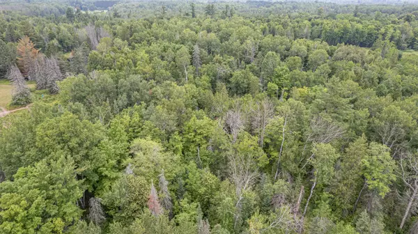 Lakewood Twp, MN 55804,30xx Lavis RD