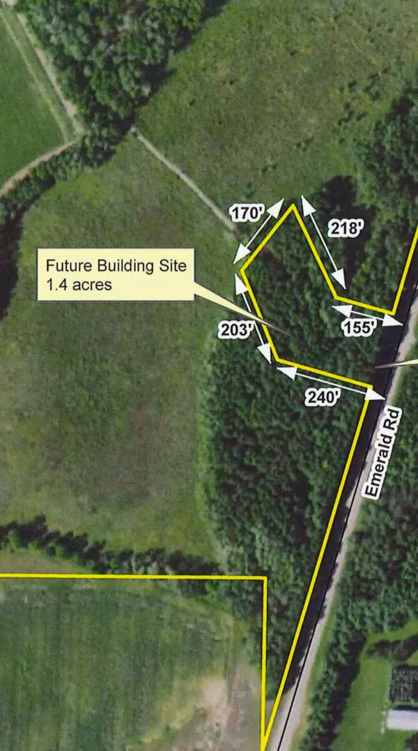 Cushing Twp, MN 56475,XXX Emerald RD