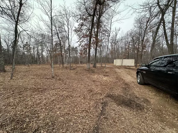 Merrifield, MN 56465,TBD Dobbins RD