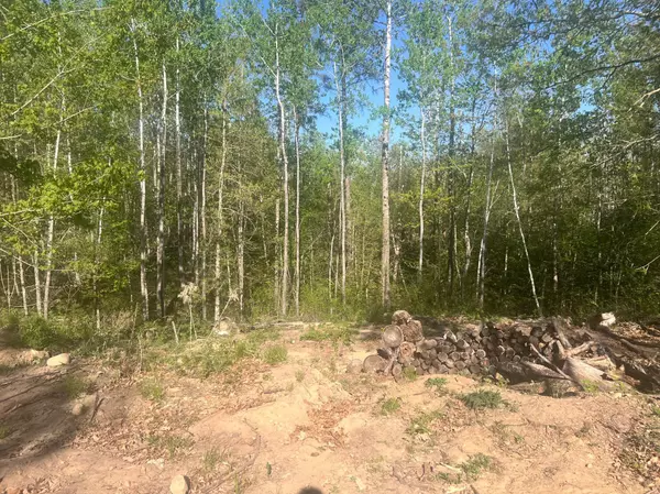 Breezy Point, MN 56472,7773 White Overlook DR