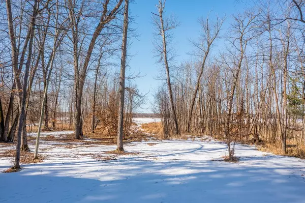 Merrifield, MN 56465,TBD County Road 19