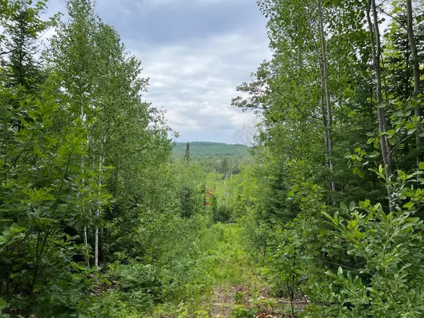 Bayfield, WI 54814,86640 N South Pratt Road