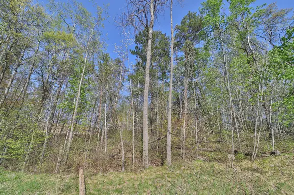 Breezy Point, MN 56472,Lot 5, 6 & 7 Terminal RD