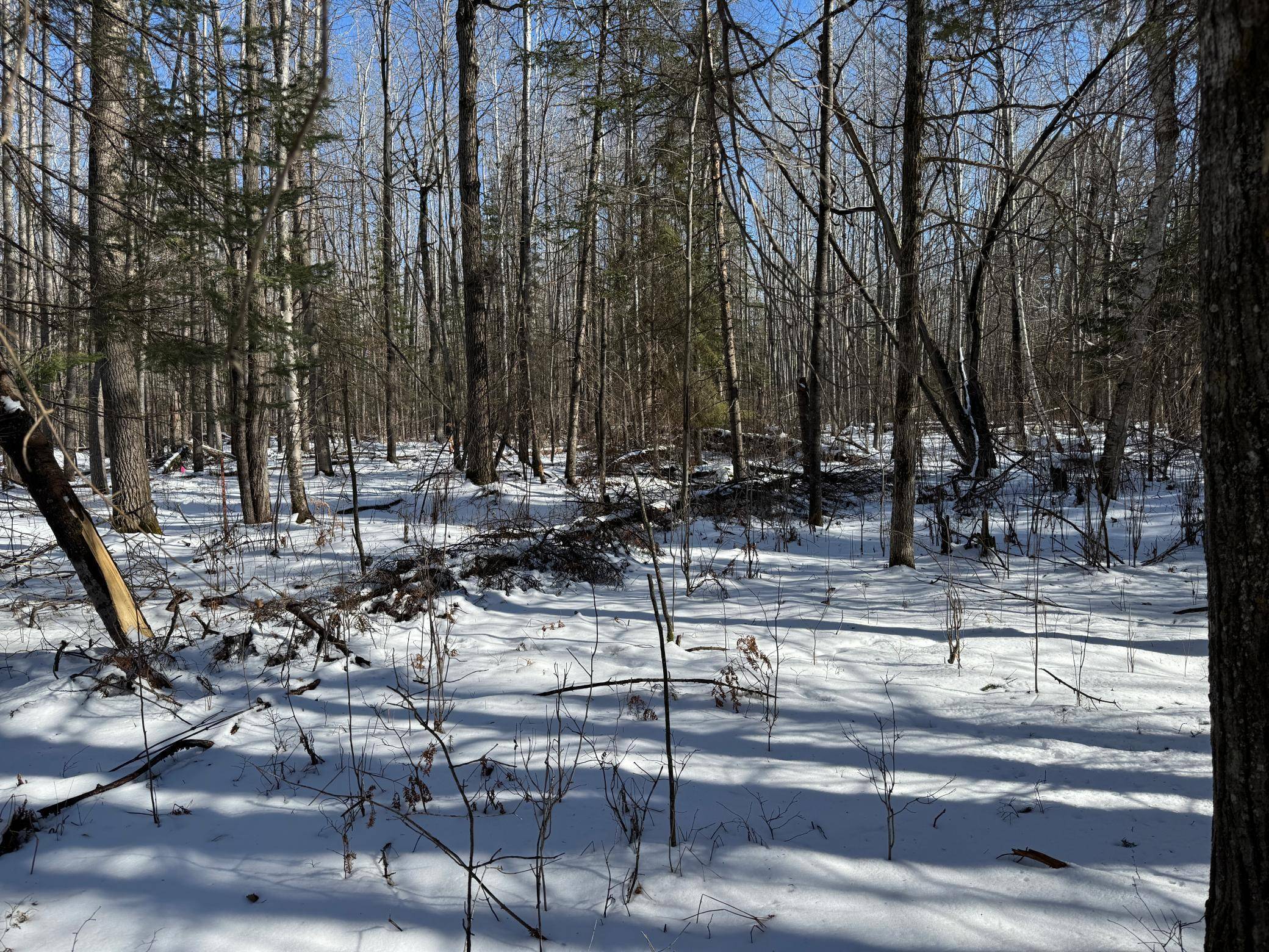 TBD McKeown Lake RD NW, Hackensack, MN 56452