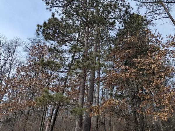 Breezy Point, MN 56472,L10 B17 Spring LOOP