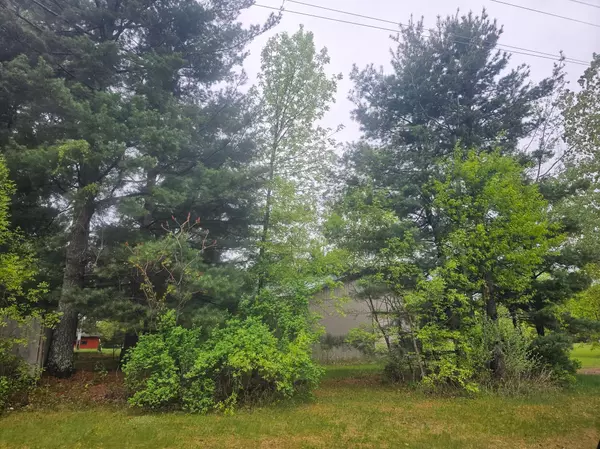 Webster, WI 54893,27599 Reitz RD