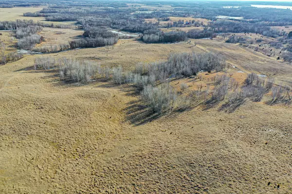 TBDx Cedar Lake RD, Birchdale Twp, MN 56378