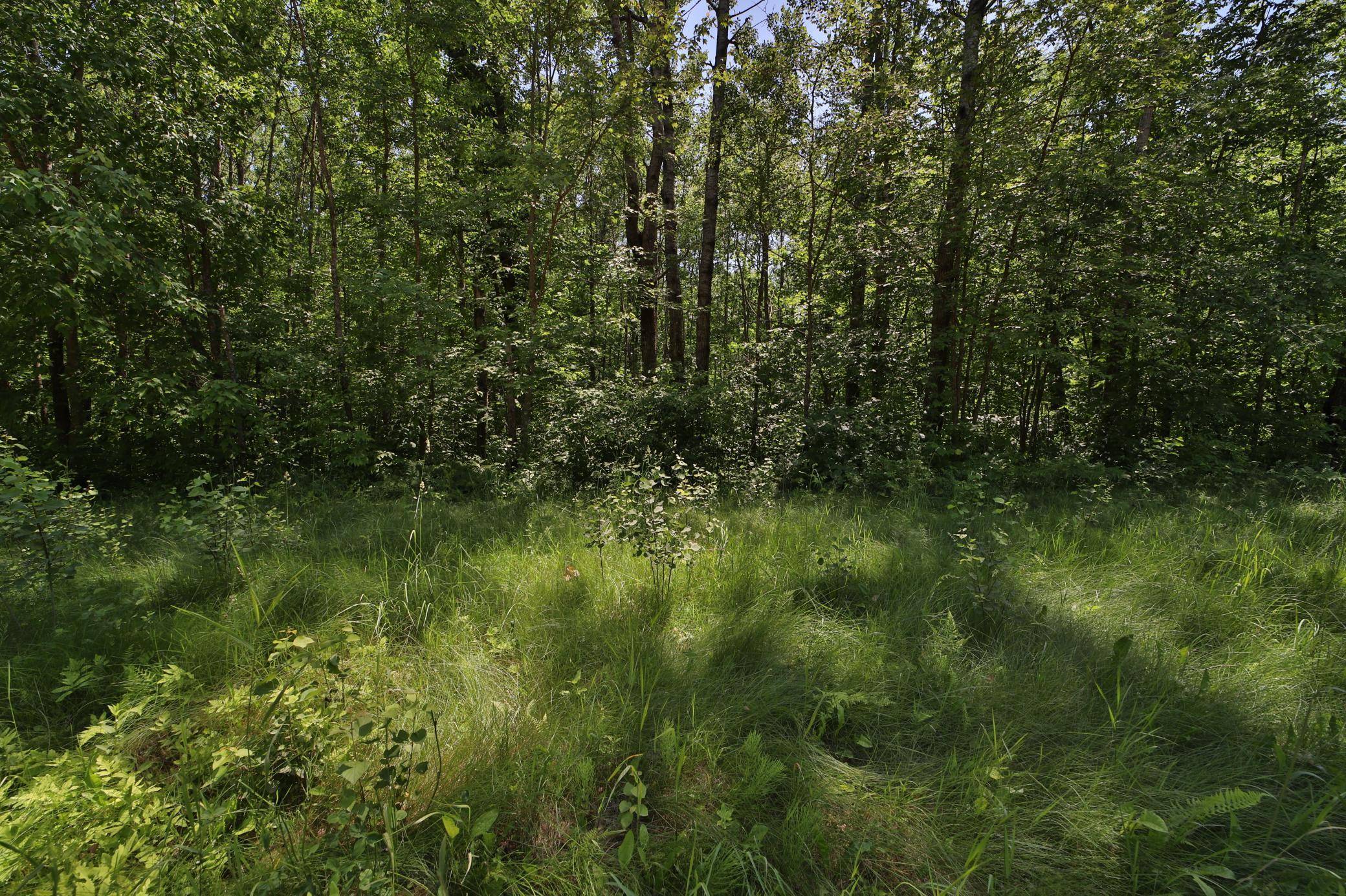 Crosby, MN 56441,Tract C Olander RD